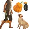 Cães – Brinquedos para cães
