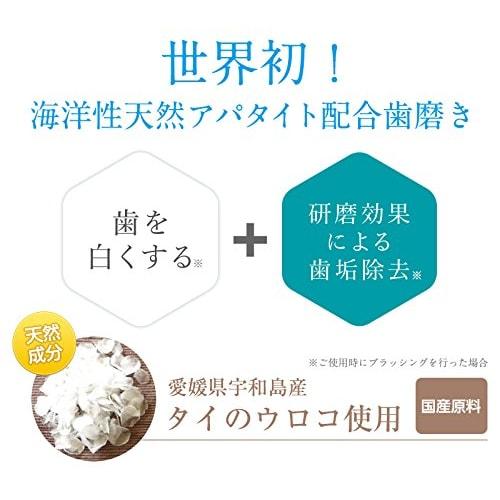 RUKEN Kirarun Toothpaste Powder Type, Mint, 55g (x 1)