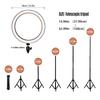 16cm Ring Fill Light Eccentric Tube Tripod Selfie Stick 2-in-1 Phone Holder 1.6M Telescopic Fill Light Holder 3200-5500K