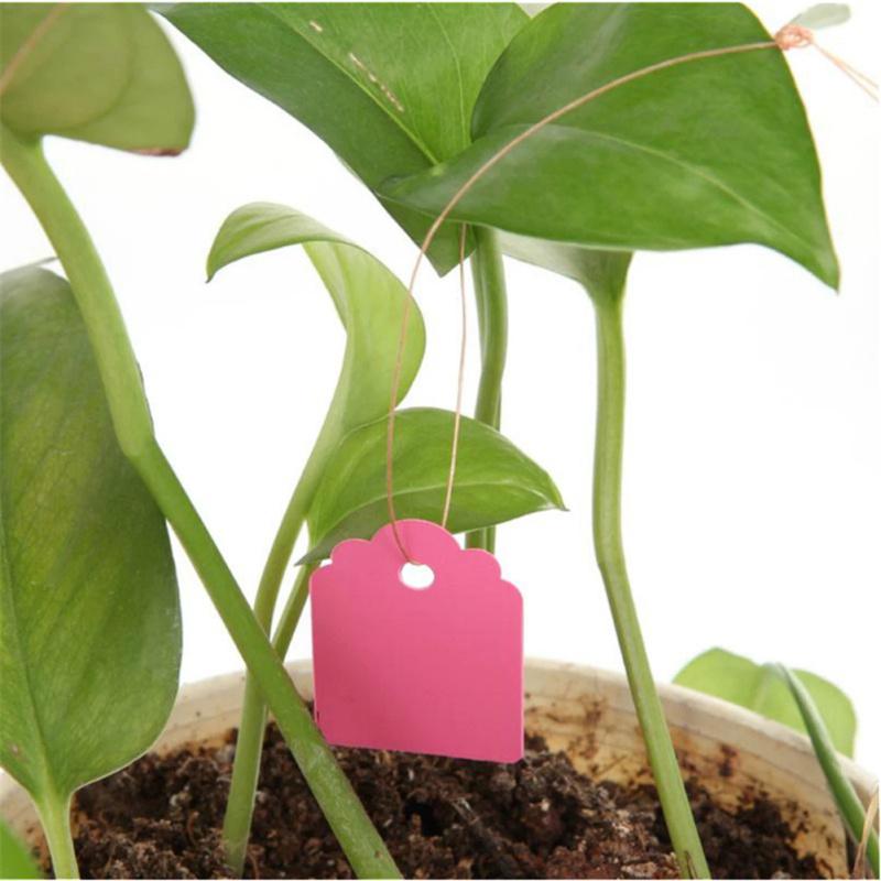 100pcs Plant  Label Plastic Pvc Hanging Tag Marker Waterproof Garden Flower Gift