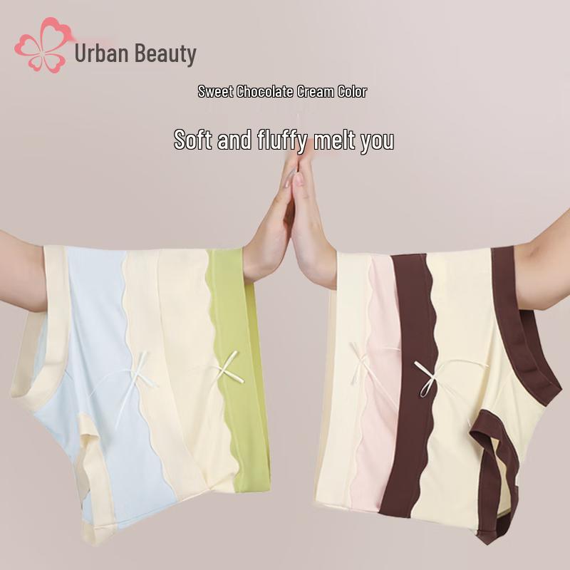 Urban Beauty Women's Modal Mulberry Silk Briefs 4-Pack