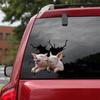3D Animal Wall Sticker Piggy Sticker Hole Car Window Static Sticker