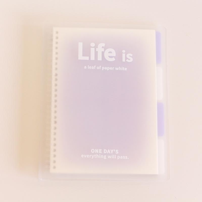 Frosted Binder Notebook 2026 A5b5 Dreamy Colorful Simple Style Planner
