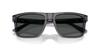 Sunglasses 0EA4232F TRANSPARENT DARK GRAY 57 [Emporio Armani]