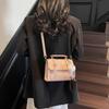 Versatile niche bag women's new spring and summer fashion shoulder messenger bag work small bag