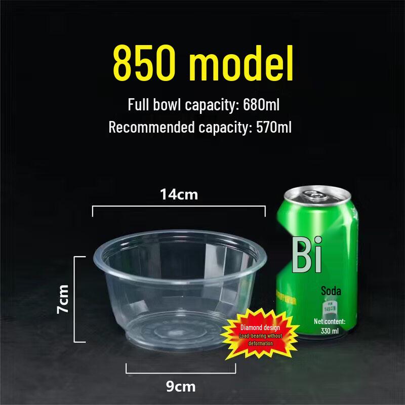Thickened Disposable Bowl & Chopstick Set