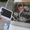 Ultra Silent Solar Oxygen Pump USB Rechargeable Fishing Oxygen Pump Fish Farming