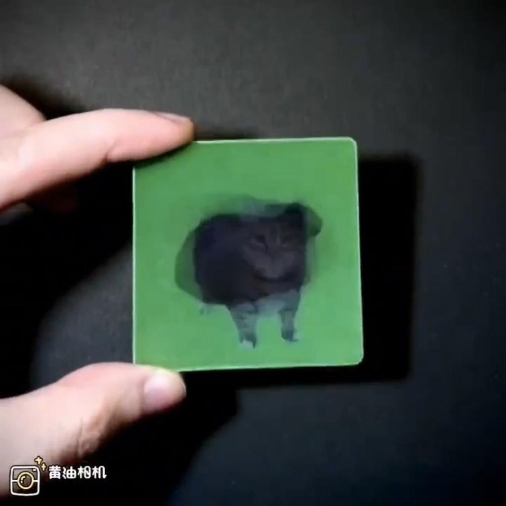 Oiiai Carta Lenticolare Creativa Gatto Effetto GIF Ornamento da Appendere per Auto Portachiavi Divertente per Alleviare lo Stress Accessorio per Telefono