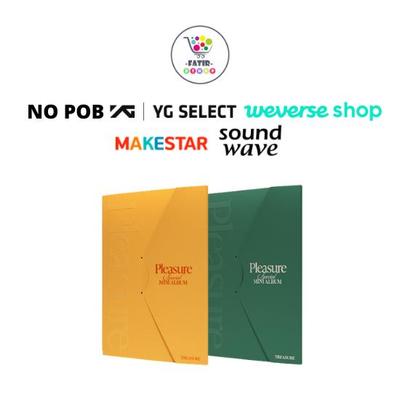 Select POB SPECIAL MINI ALBUM PLEASURE