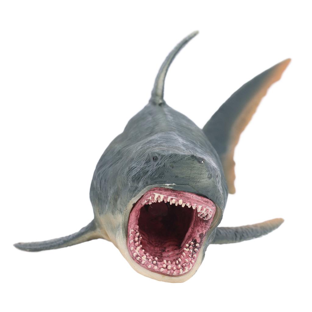 Simulation Shark Model Lifelike Vivid Educational Fish Model Toy Marine Animal Toy for Kids