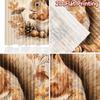 2pcs, 2D FLAT PRINTING Curtains (Without Rod) Autumn Squirrel Christmas Holiday Curtains Semi-Sheer Curtains Decorations Inside