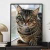 Cat Full Diamond 5D Art Painting Piece Set DIY Round Gem Cross Stitch Craft and Artwork Decoration Home Wall Ornaments