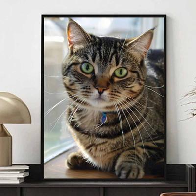 Cat Full Diamond 5D Art Painting Piece Set DIY Round Gem Cross Stitch Craft and Artwork Decoration Home Wall Ornaments