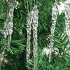 (12 Stück/Packung) Weihnachtsbaum-Anhänger Kunststoff Transparent Eiszapfen Deko Weihnachtsdekorationen Für Handgemachtes DIY Heimdekoration
