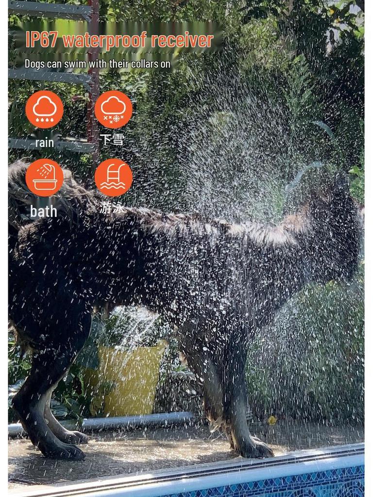 New Anti-Bark Dog Training Remote Device