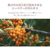 Pyunkang Yul Black Tea Toner Contains Korean Skin Moisturizing [PKY] 130ml, Toner, Anti-Aging Care, Kombucha, Care, Dryness,