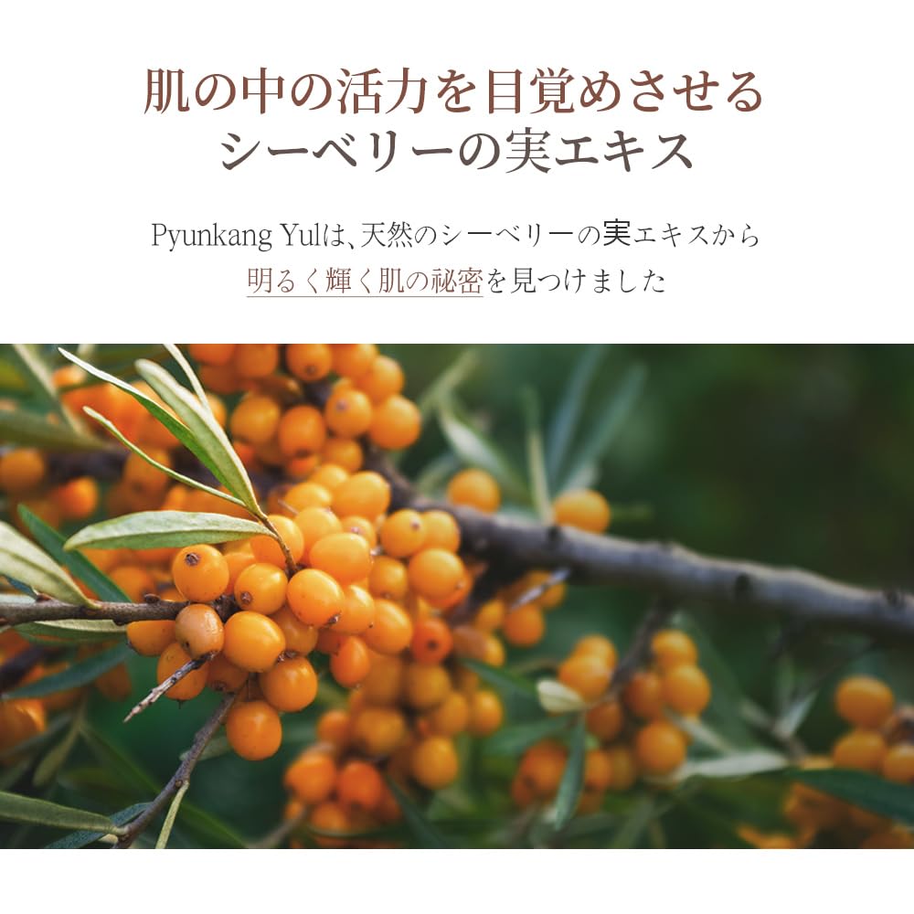 Pyunkang Yul Black Tea Toner Contains Korean Skin Moisturizing [PKY] 130ml, Toner, Anti-Aging Care, Kombucha, Care, Dryness,