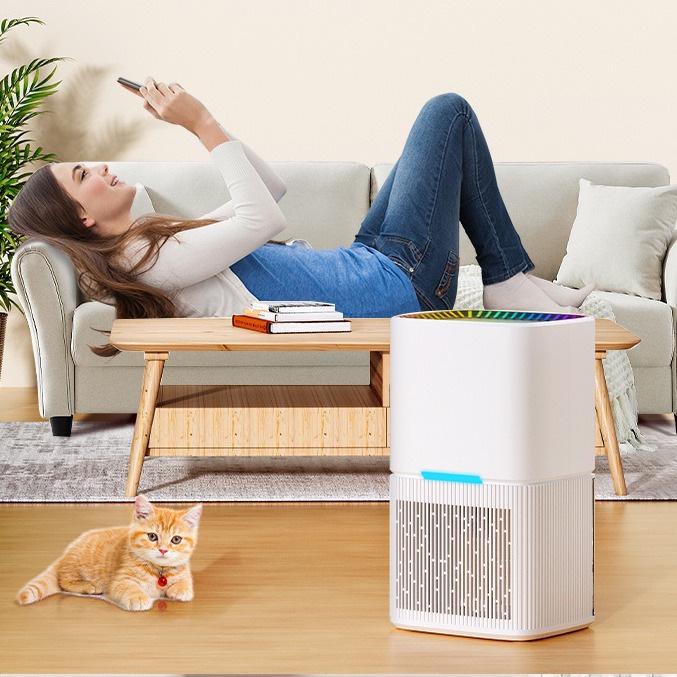 Portable Large Capacity Intelligent Dehumidifier for Home and Bathroom