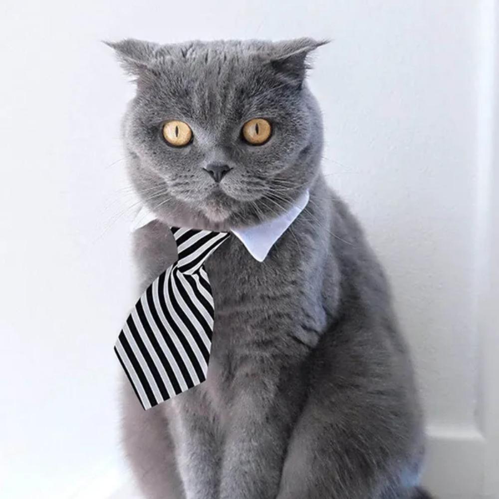 Adjustable Pet Bow Tie Necktie Formal Dog Collar for Small Dogs and Cats Puppy Grooming Ties