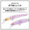 Daiwa Plug Moonflower Fuuka 55F Ami Chirashi (DAIWA)