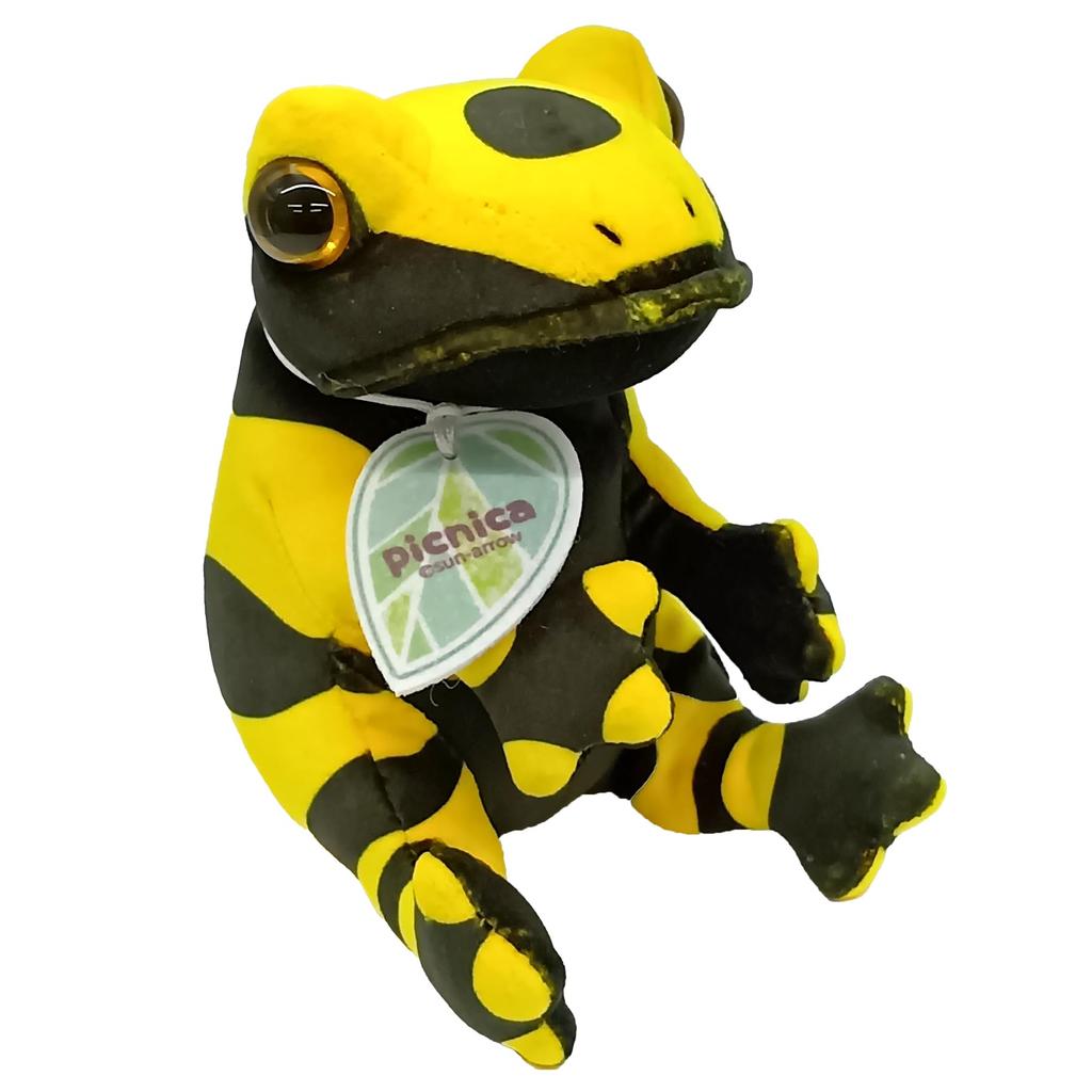 Sun Arrow Poison Dart Frog K-9892