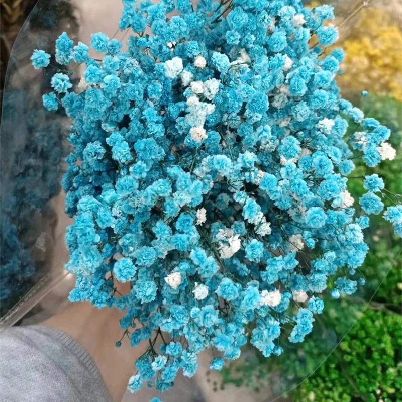 90g Dried Baby Breath Flower Bouquet Natural Dry Flowers Gypsophila Valentines Day Wedding Decoration Home Table Christmas Decor