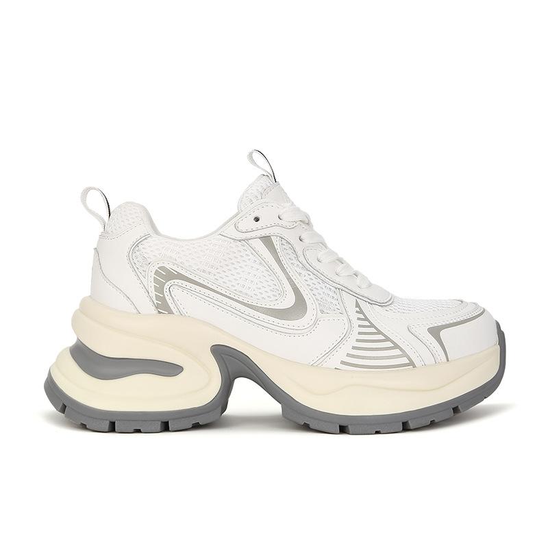 Paris klobige silberne Dad-Schuhe für Damen High-End 2025 neu Sommer atmungsaktiv Einzelmesh lässige Sportschuhe