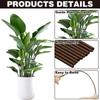 Set of 10 Plant Tutors with 15 Pliers, Flexible Sticks 45.7 cm High, Brown Orchid Pliers for Indoor and Outdoor Flower Growth, Roses, Amaryllis