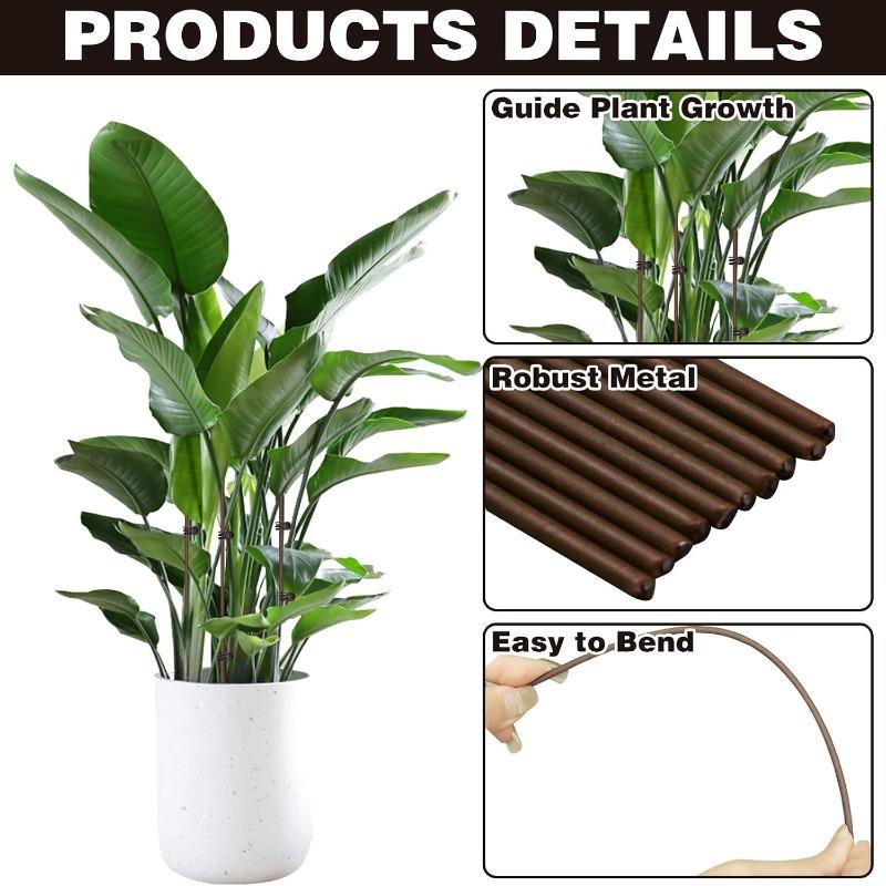 Set of 10 Plant Tutors with 15 Pliers, Flexible Sticks 45.7 cm High, Brown Orchid Pliers for Indoor and Outdoor Flower Growth, Roses, Amaryllis
