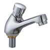 Press Type Single Cold Delay Faucet