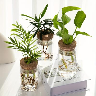 1 stuks, Hydroponische Planten Bureau Glazen Plantenbak Vaas Voor Huisdecoratie, Planten Vermeerderingsstation Knopvaas, Bureau Hydroponics