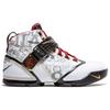 Nike LeBron 5 Mr. Basketball 317253-101