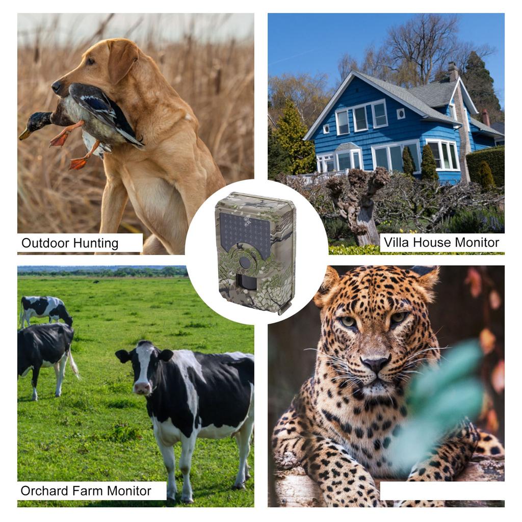 Infrared Hunting Camera Trail Camera 12MP HD 1080P Infrared Hunting IP56 Waterproof for Wildlife Monitoring PR200B Trail Camera