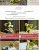 Adorable Cartoon Dragon Resin Ornament - Dinosaur Figure Gift for Friends & Teachers