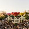 Insekten-Wassernapf Blumenförmige Bienen-Trinkstation Bestäuber-Hydrationsbecher für Bienen Schmetterlinge Outdoor-Garten-Hof-Dekoration