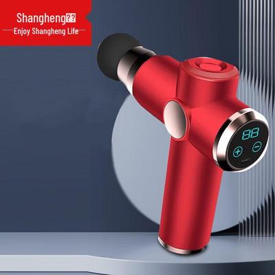 Shangheng LCD Fascia Gun CN Plug (adapter Included)