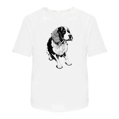 Üst giysisi – T-shirtler