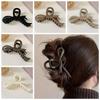 Solid Acrylic Twisted Hair Claws Resin Shark Clips Portable Matte Bow Hair Clips  Girls