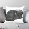 Grey Cat Sleeping Square Pillowcase Polyester Linen Velvet Pattern Zip Decor Throw Pillow Case Sofa Cushion Cover