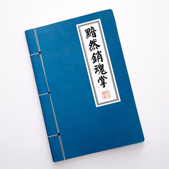 Vintage Chinese Scriptures Martial Arts Kongfu A5 Notebooks Stationery Supplies