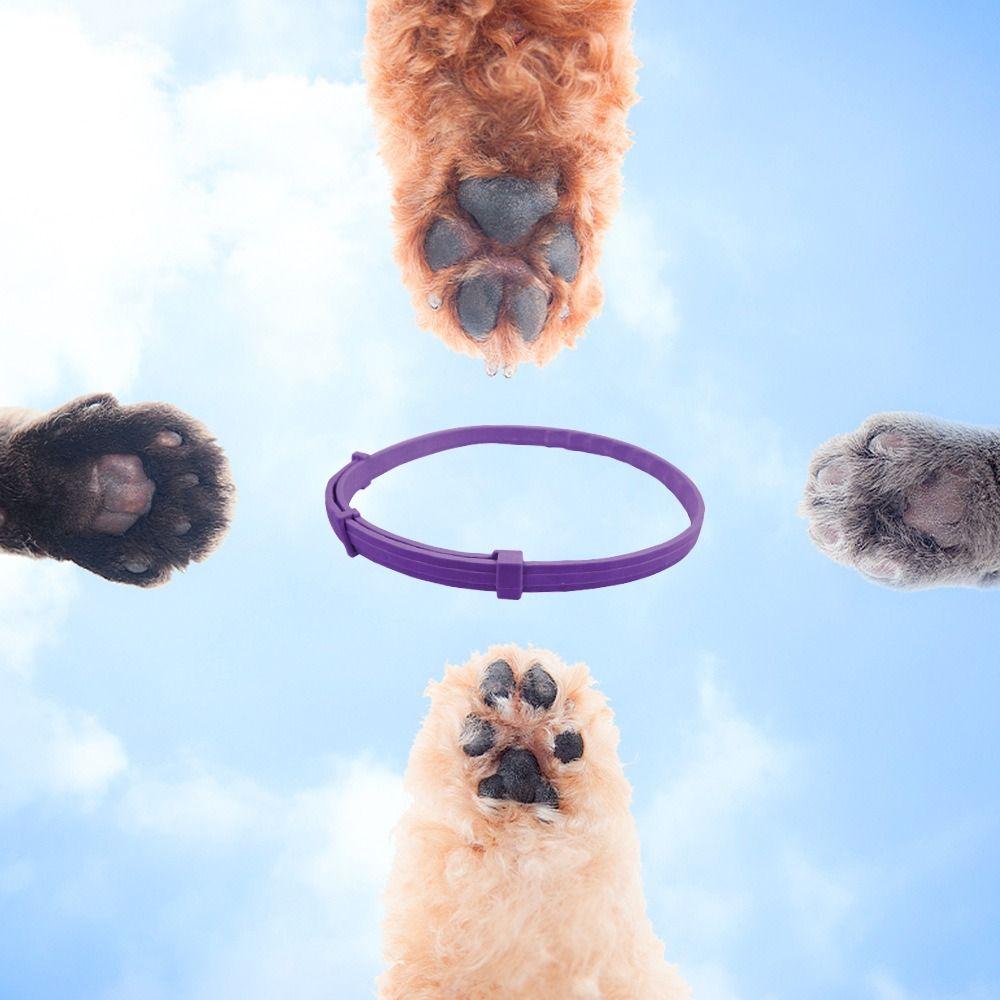 Zgardă Calmantă TPR pentru Animale de Companie Ajustabilă Accesorii pentru Animale de Companie Portabilă Colier pentru Câini Pisici Pisici