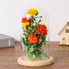 Home Decor Vases Glass Flower Display Cloche Bell Jar Glass Bottle with Wooden Base Dust Cover Display Box Immortal Flower Box