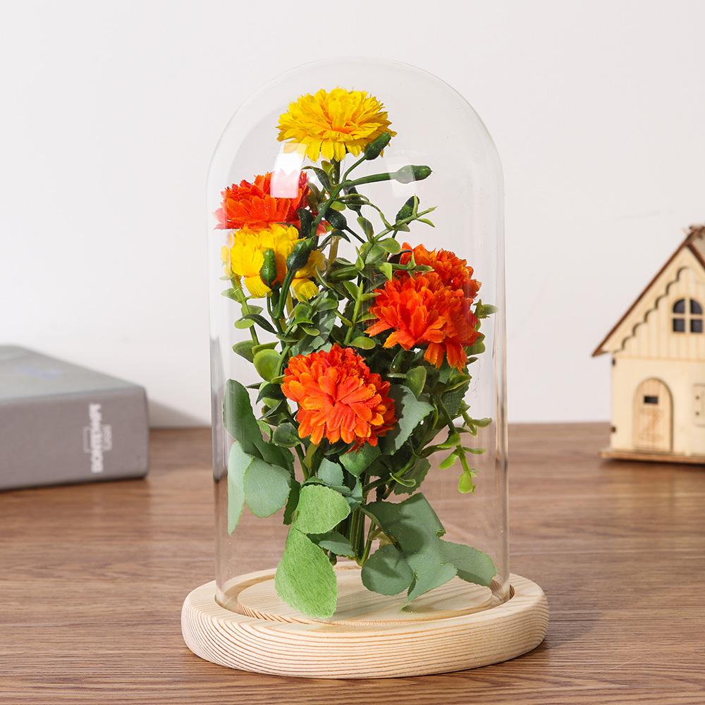 Home Decor Vases Glass Flower Display Cloche Bell Jar Glass Bottle with Wooden Base Dust Cover Display Box Immortal Flower Box