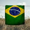 1PC Brazil Artwork Printed Soft Flannel Blanket Throw for Adult Bedroom Living Room Sofa Camping Travel Fan Gifts Christmas Gifts