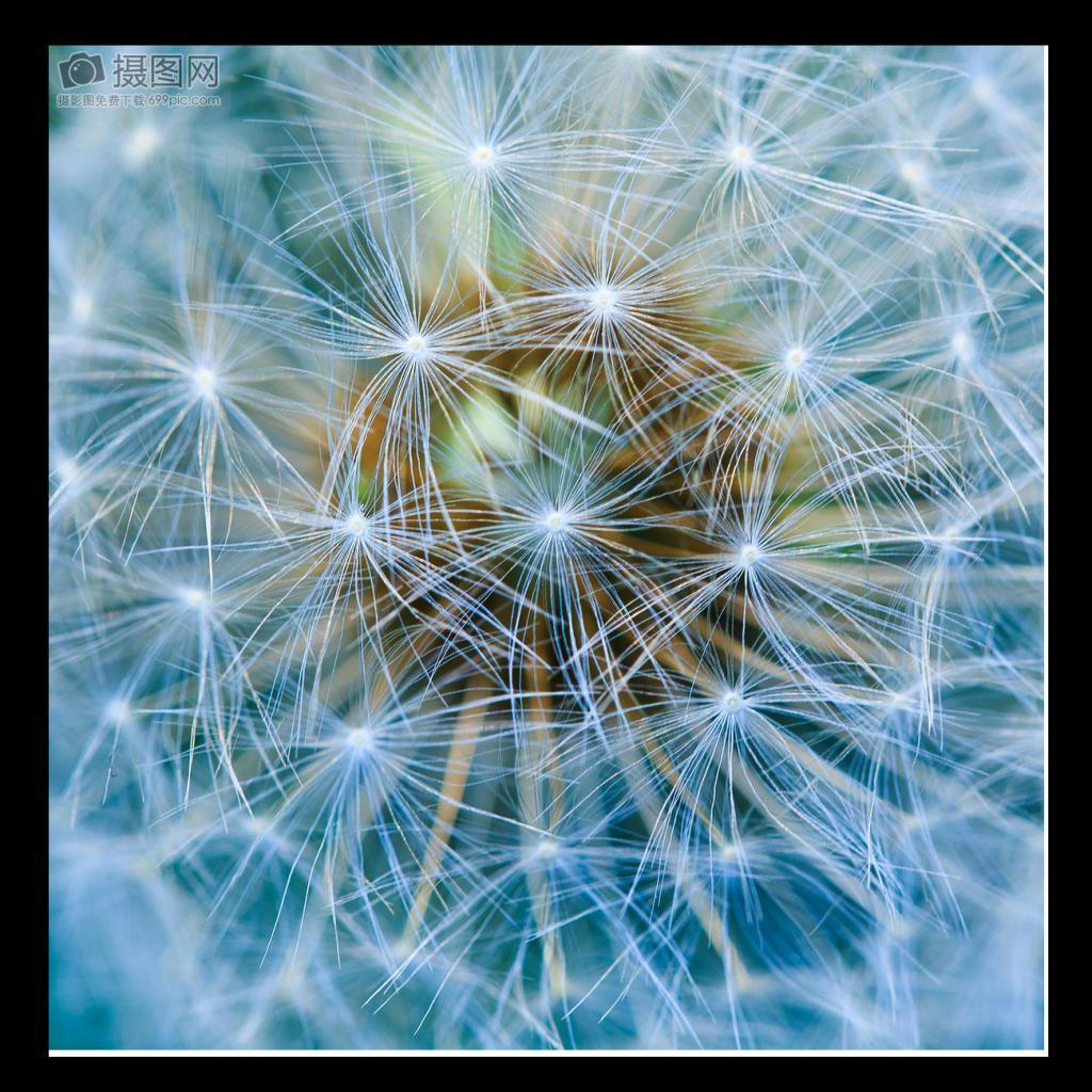 

Водонепроницаемый 8 л 15 л для спортивных залов, плавания, пляжа, каякинга, рыбалки, кемпинга и пеших прогулок -