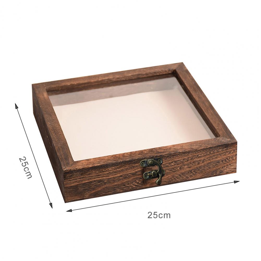 Wooden Display Case Butterfly Shadow Box Multiple Sizes Large Insect Specimens Storage Display Case High-quality Display Cabinet
