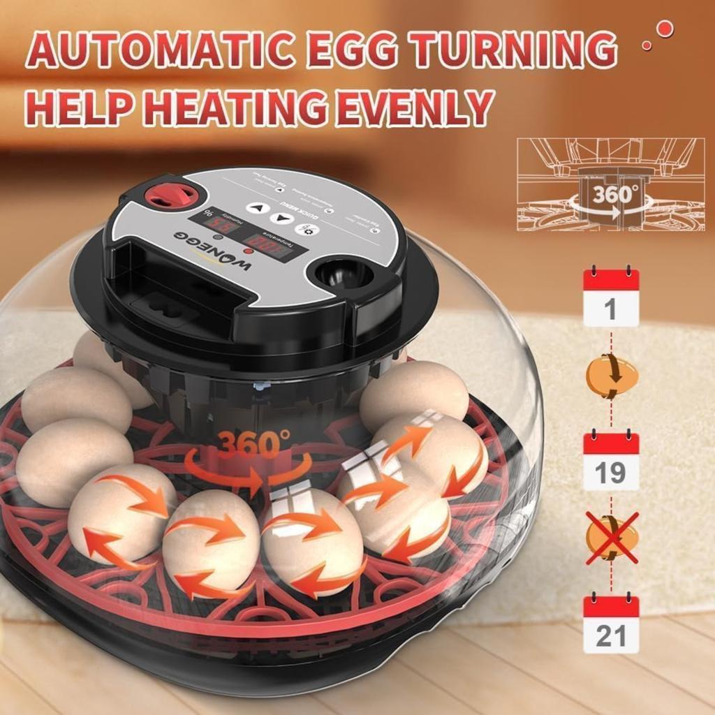 Explore+ 12 Egg Incubator for Beginners, Multi-Level Adaptive Humidity (Auto-Refill & Dual-Bottle) & Stable Temp Control, Auto Egg Turning, Real-Time
