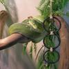 Snake Enrichment Toys Adjustable Link Hammock Snake Climbing Toy For Habitat Reptiles Arboreal Indoor Outdoor Home Turtle