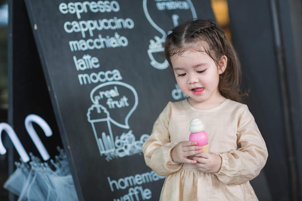 PLANTOYS Ice Cream Set 3486