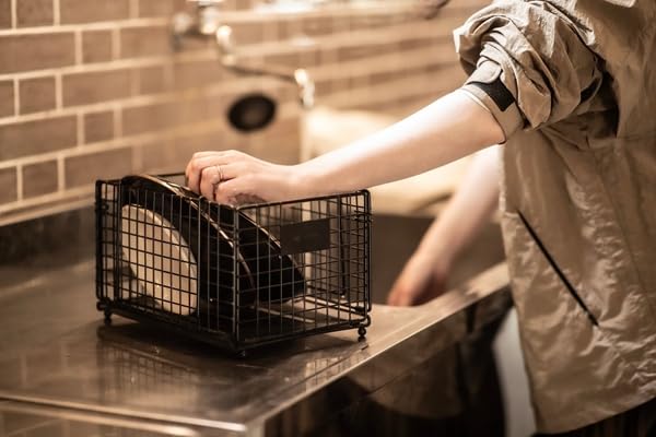 ANOBA Folding Wire Basket S